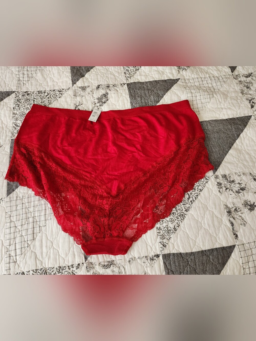Torrid Red Panties NWT Size 3